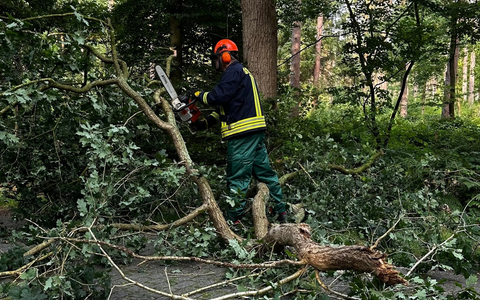 FW-AUR: Abgebrochenes Geäst blockiert Fahrbahn - Foto: presseportal.de