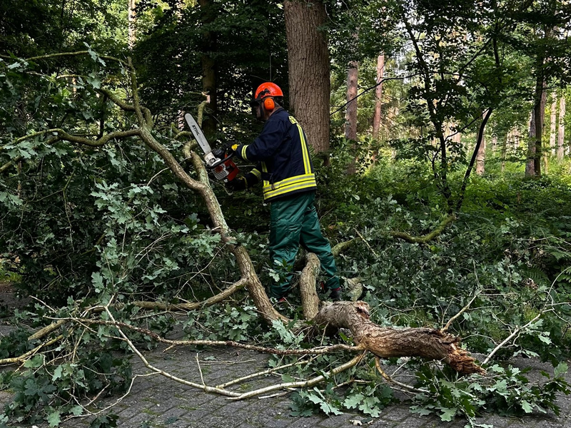 FW-AUR: Abgebrochenes Geäst blockiert Fahrbahn - Foto: presseportal.de