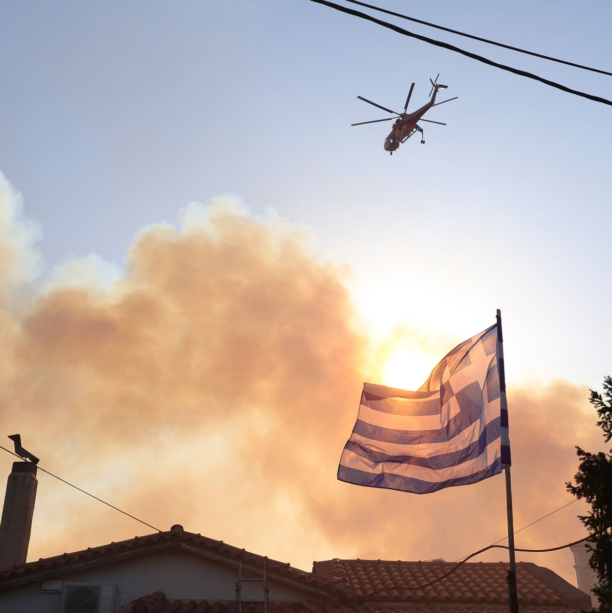 Übrig bleibt nach den verheerenden Bränden oft nur verkohlte Wüste. - Foto: Yorgos Karahalis/AP/dpa