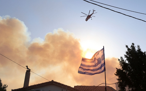 Übrig bleibt nach den verheerenden Bränden oft nur verkohlte Wüste. - Foto: Yorgos Karahalis/AP/dpa
