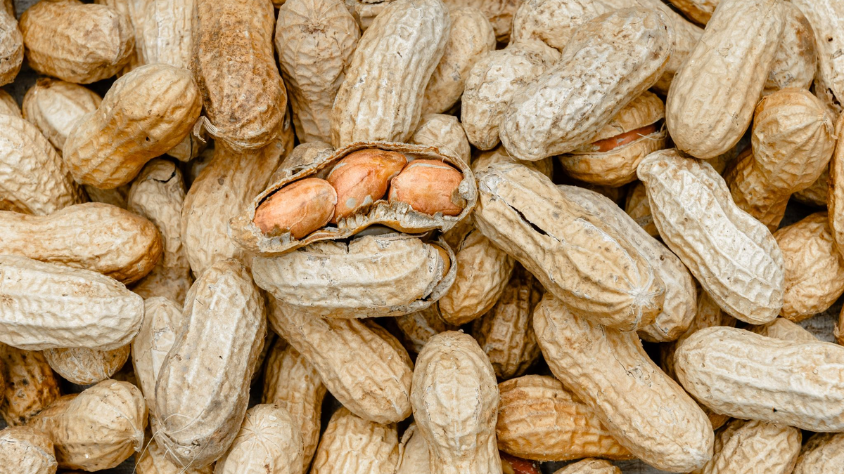 Schon geringe Mengen Erdnüsse können reichen, um allergische Reaktionen auszulösen. (Archivbild) - Foto: picture alliance / Markus Scholz/dpa