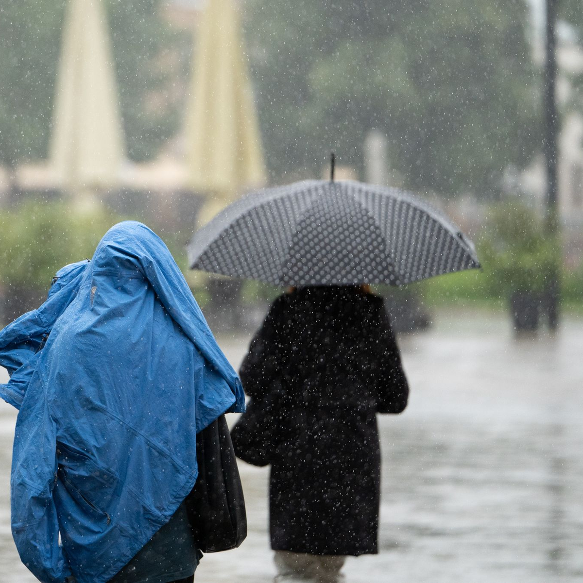 Nass und mit Temperaturen unter 25 Grad geht der Juli in Deutschland zu Ende.  - Foto: Markus Lenhardt/dpa