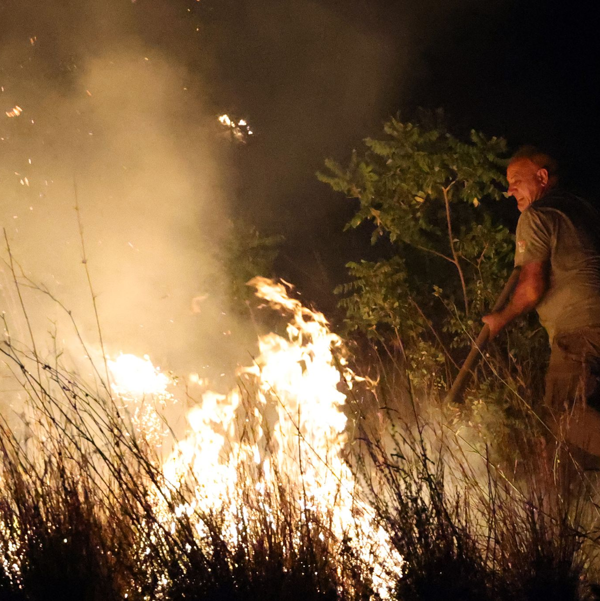 Umweltschutzorganisation: Sizilien war in diesem Jahr stark von Bränden betroffen. - Foto: Alberto Lo Bianco/IPA via ZUMA Press/dpa