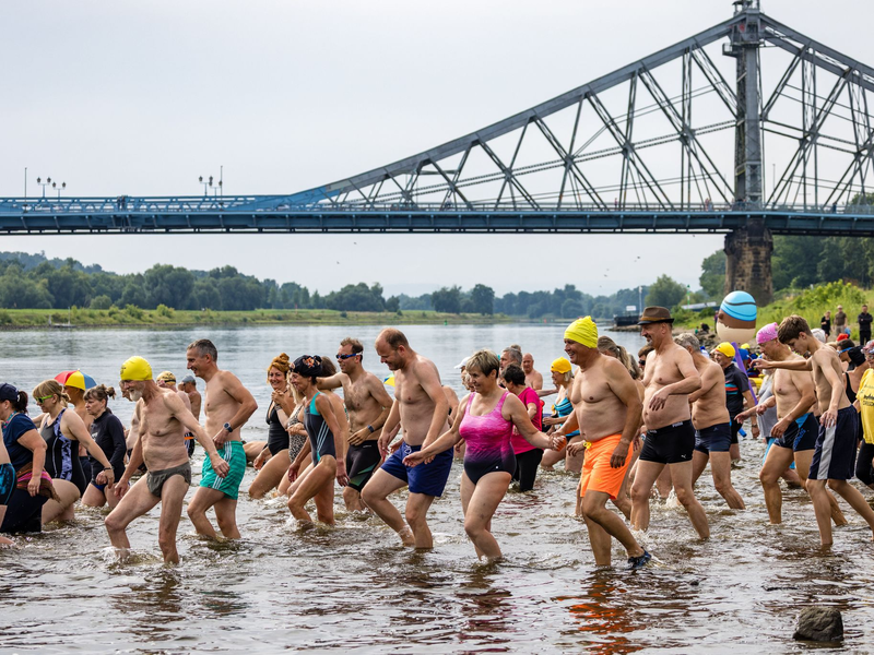 Das Elbeschwimmen wird immer beliebter. - Foto: Frank Hammerschmidt/dpa