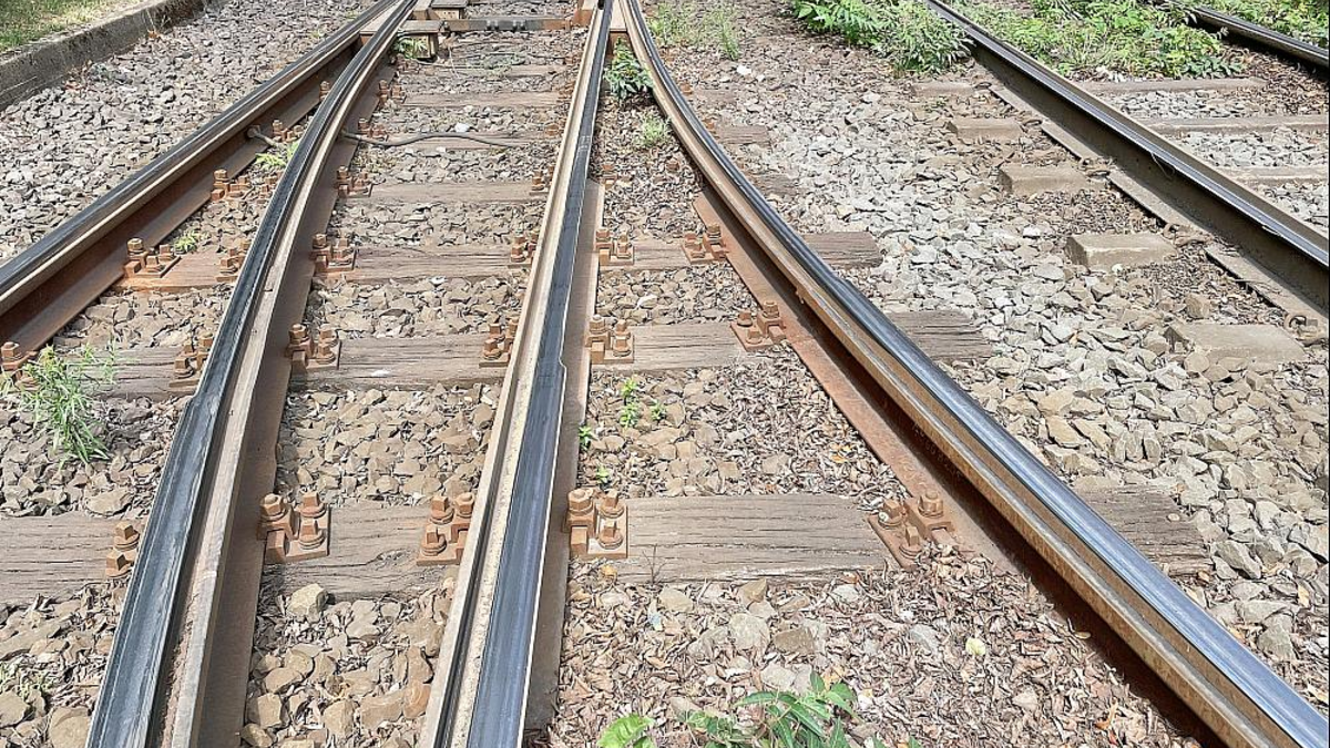Schienen (Archiv) - Foto: über dts Nachrichtenagentur