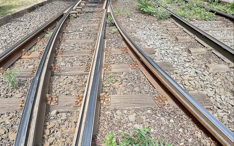 Schienen (Archiv) - Foto: über dts Nachrichtenagentur