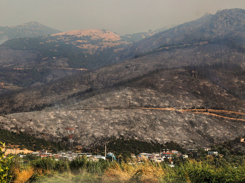 Helfer löschen einen Waldbrand. - Foto: Sercan Ozkurnazli/dia images/AP/dpa