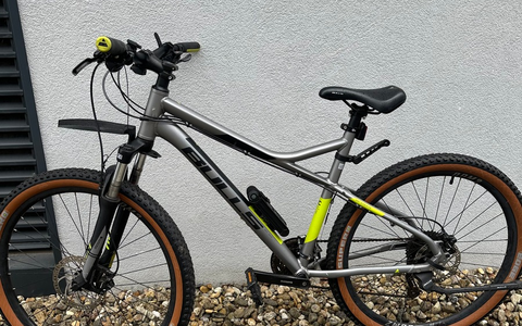 POL-EL: Lingen - Eigentümer*in gesucht (Foto) - Foto: presseportal.de