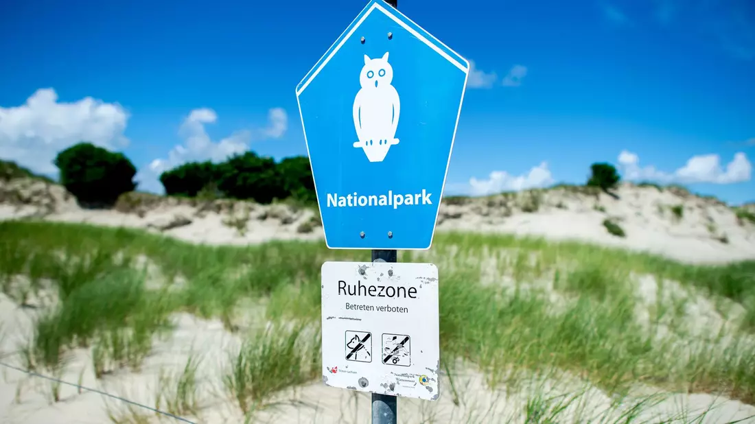 In der Ruhezone des Nationalparks Niedersächsisches Wattenmeer gelten die strengsten Schutzbestimmungen. (Archivbild) - Bild: Hauke-Christian Dittrich/dpa