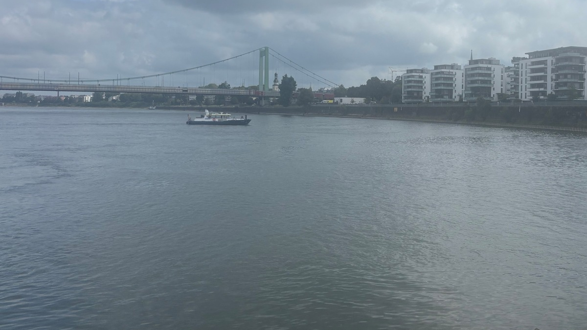 POL-DU: Duisburg/Mühlheim: Hündin Esa fast ertrunken - Foto: presseportal.de