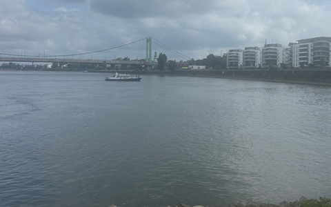 POL-DU: Duisburg/Mühlheim: Hündin Esa fast ertrunken - Foto: presseportal.de POL-DU: Duisburg/Mühlheim: Hündin Esa fast ertrunken - Foto: presseportal.de