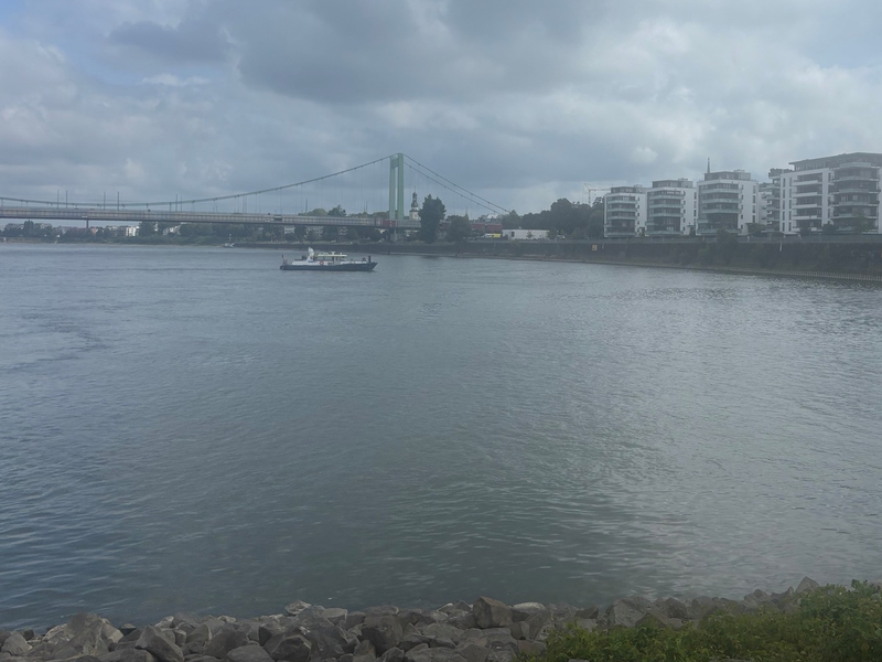 POL-DU: Duisburg/Mühlheim: Hündin Esa fast ertrunken - Foto: presseportal.de