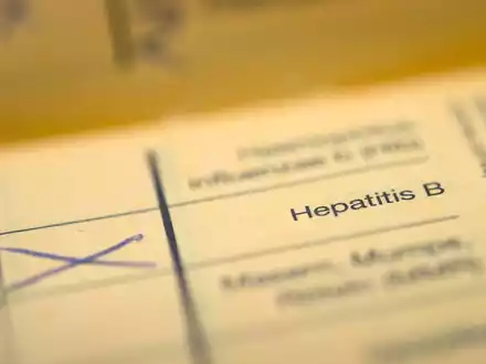Der Schriftzug Hepatitis B  in einem Impfpass. Hepatitis B kann Leberkrebs verursachen. - Foto: picture alliance / dpa