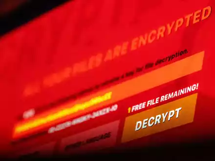 Internationalen Ermittlern  ist ein Schlag gegen cyberkriminelle Erpresser gelungen. (Symbolbild)  - Foto: Lino Mirgeler/dpa