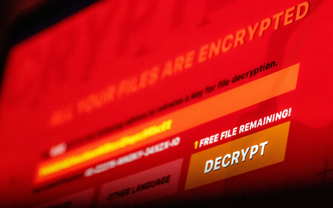 Internationalen Ermittlern ist ein Schlag gegen cyberkriminelle Erpresser gelungen. (Symbolbild) - Foto: Lino Mirgeler/dpa Internationalen Ermittlern ist ein Schlag gegen cyberkriminelle Erpresser gelungen. (Symbolbild) - Foto: Lino Mirgeler/dpa