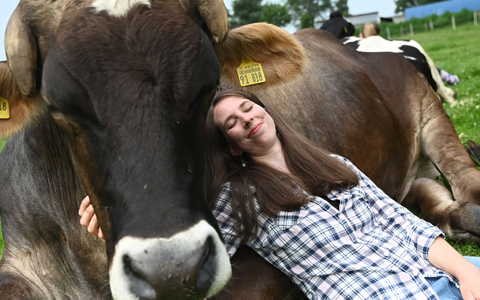 Wenn die Kuh keine Lust auf Gesellschaft oder Kuscheln hat, lässt man sie in Ruhe – jedes Rind kann einfach aufstehen und weggehen. - Foto: David Hammersen/dpa