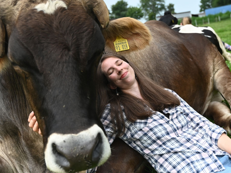 Wenn die Kuh keine Lust auf Gesellschaft oder Kuscheln hat, lässt man sie in Ruhe – jedes Rind kann einfach aufstehen und weggehen. - Foto: David Hammersen/dpa