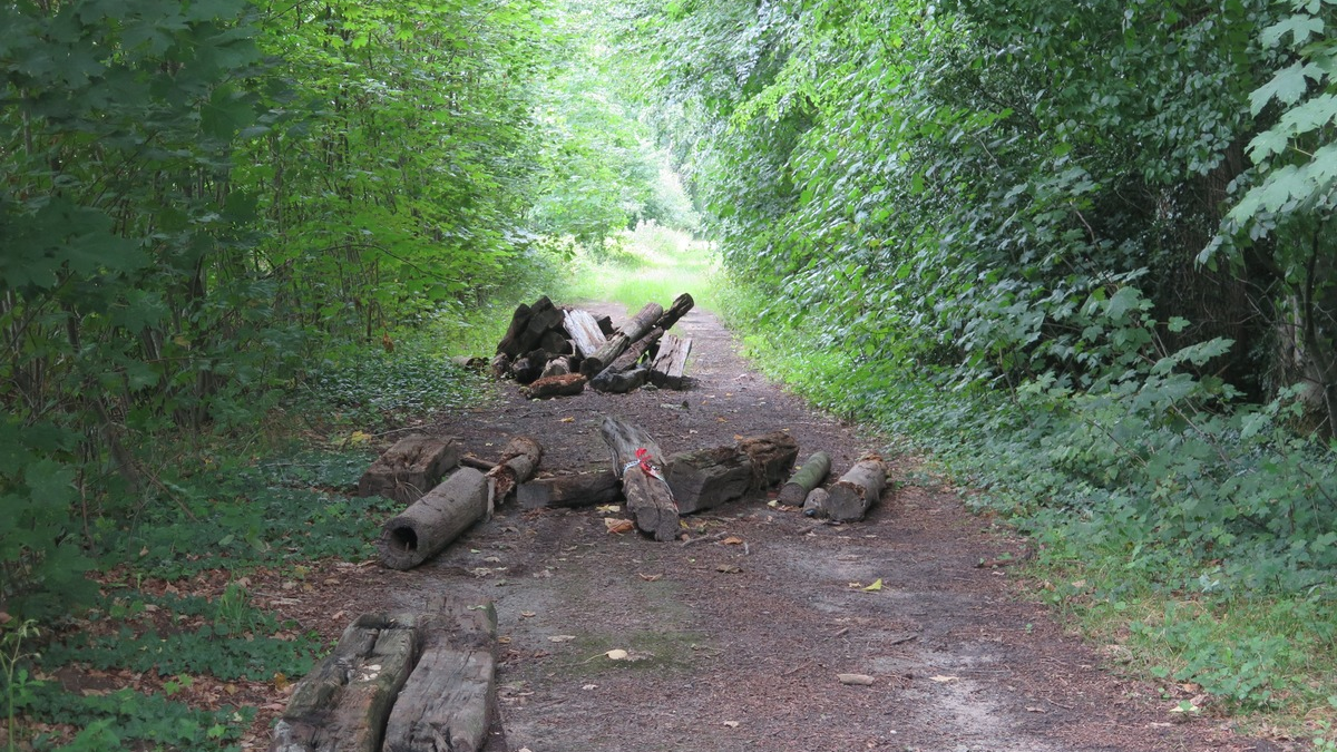 POL-DEL: Landkreis Oldenburg: Illegale Entsorgung von Sondermüll in Winkelsett - Foto: presseportal.de