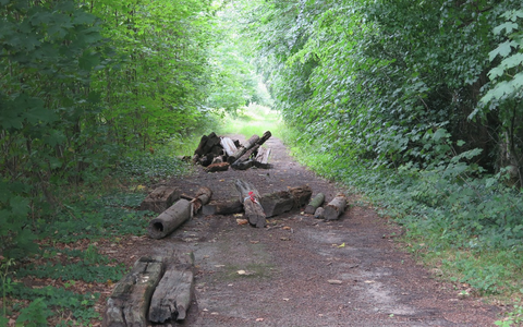POL-DEL: Landkreis Oldenburg: Illegale Entsorgung von Sondermüll in Winkelsett - Foto: presseportal.de