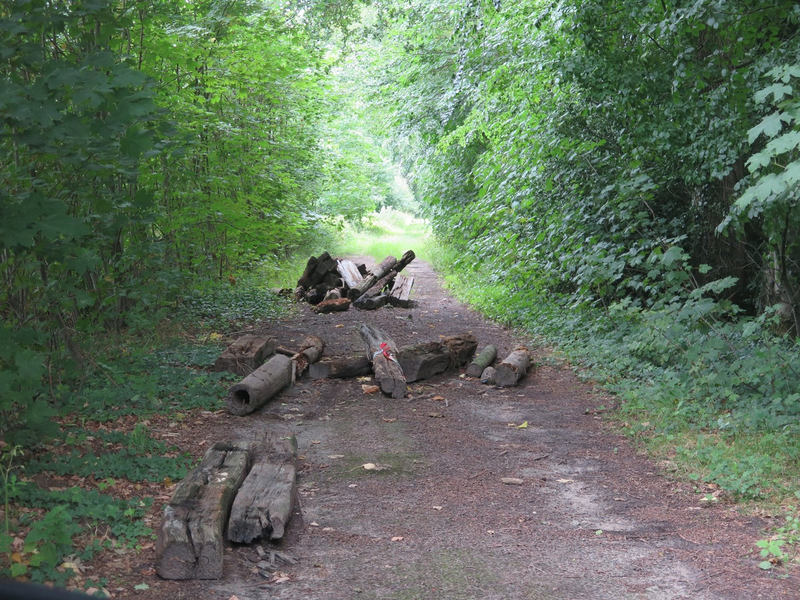 POL-DEL: Landkreis Oldenburg: Illegale Entsorgung von Sondermüll in Winkelsett - Foto: presseportal.de