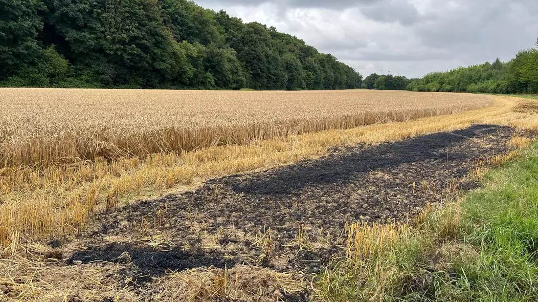 POL-NE: Ermittler suchen Zeugen nach Brand auf Feld - Bild: presseportal.de