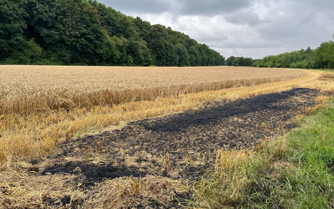 POL-NE: Ermittler suchen Zeugen nach Brand auf Feld - Foto: presseportal.de