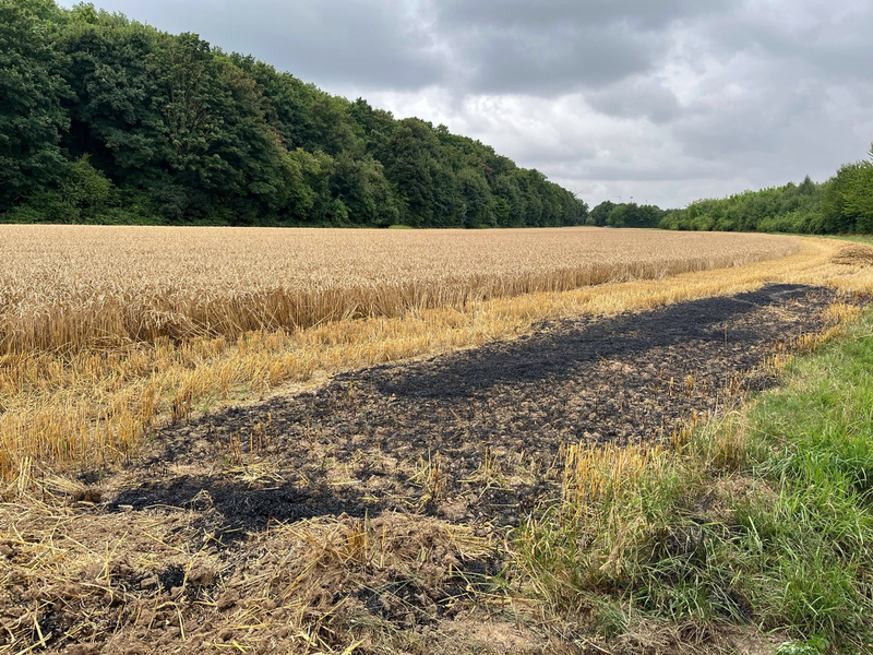 POL-NE: Ermittler suchen Zeugen nach Brand auf Feld - Foto: presseportal.de