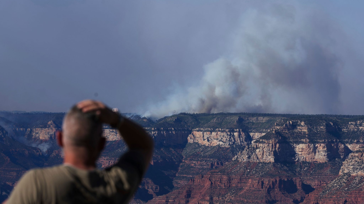 Die Flammen zeigen den Angaben zufolge «extremes Brandverhalten». - Foto: Jon Gambrell/AP/dpa