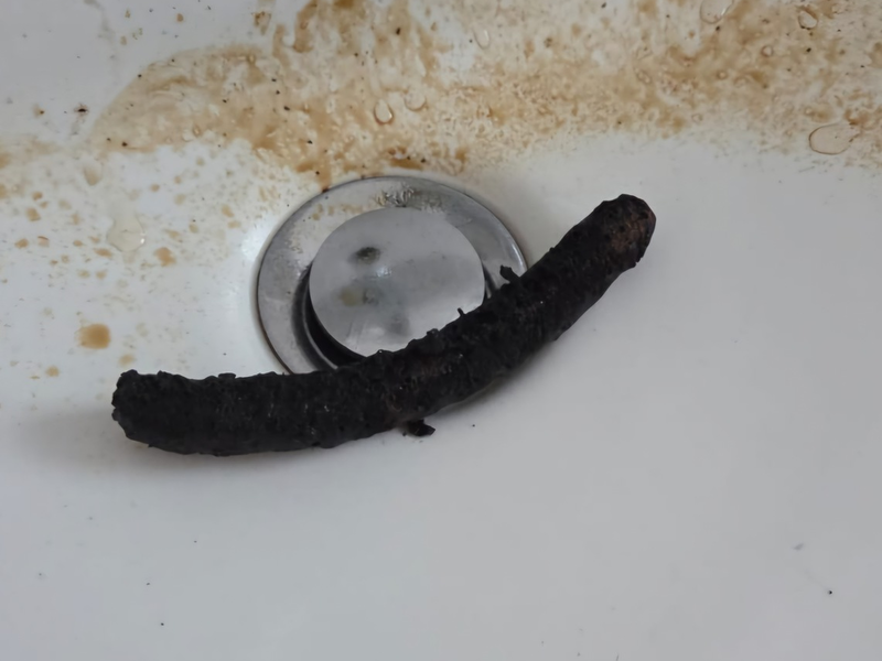 FFW Schiffdorf: Angebranntes Würstchen löst Brandmeldeanlage aus - Foto: presseportal.de