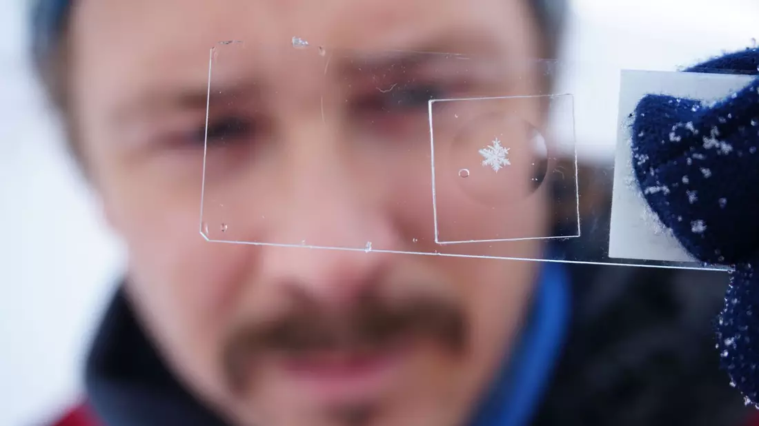 Schneeflocken haben sehr feine Strukturen. - Bild: Hoffmann/Cryosity/dpa