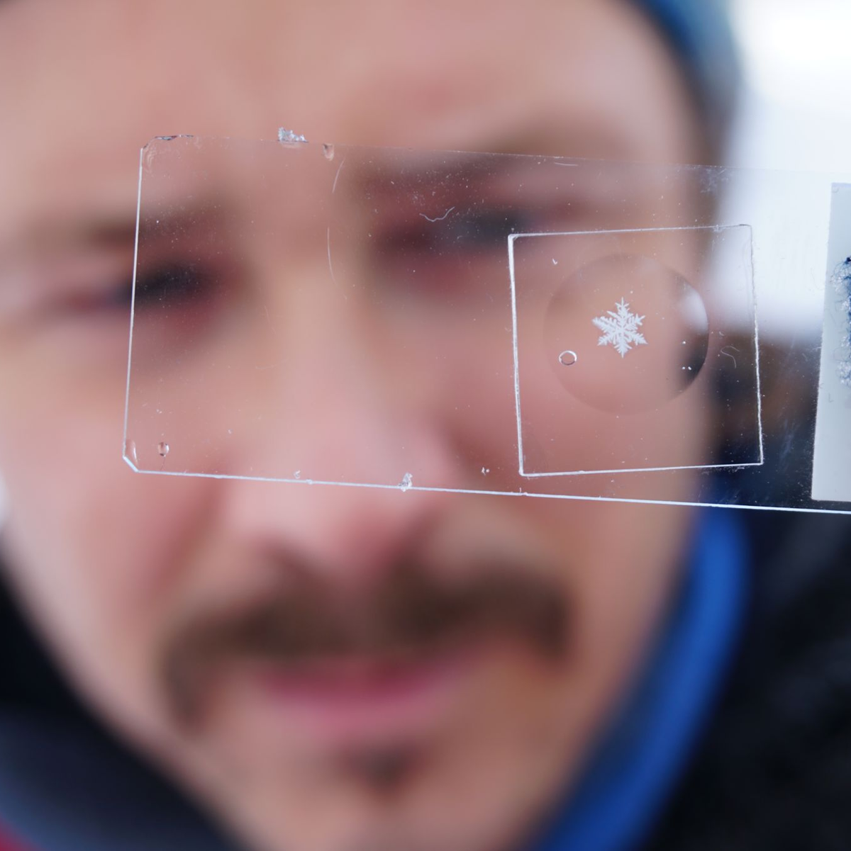 Schneeflocken haben sehr feine Strukturen. - Foto: Hoffmann/Cryosity/dpa