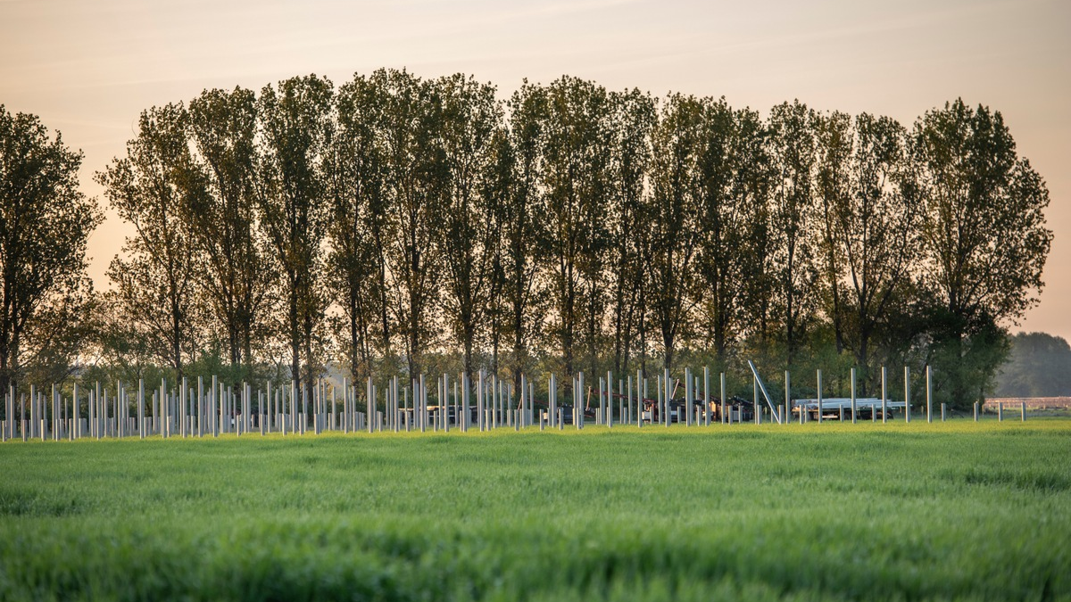 GP JOULE übernimmt technische Betriebsführung für den Solarpark Frankenförde / Auf die EPC-Leistung folgt nun auch der Service-Auftrag von PARQ energy - Foto: presseportal.de