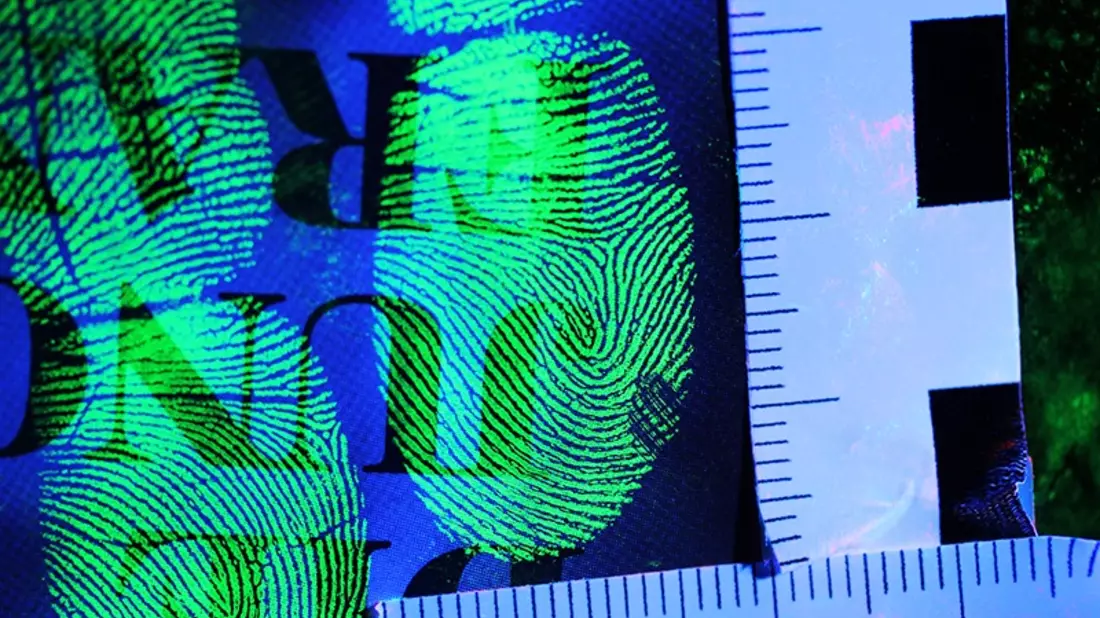 BPOL-HB: Fingerabdruckscanner offenbart Bundespolizei die Identität eines 35-jährigen Inders - Fahndungstreffer: Festnahme - Bild: presseportal.de