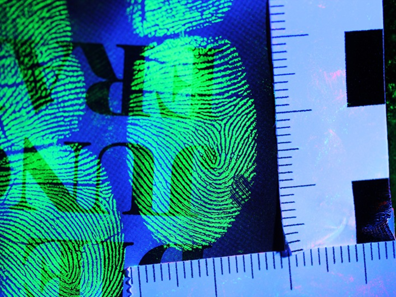 BPOL-HB: Fingerabdruckscanner offenbart Bundespolizei die Identität eines 35-jährigen Inders - Fahndungstreffer: Festnahme - Foto: presseportal.de