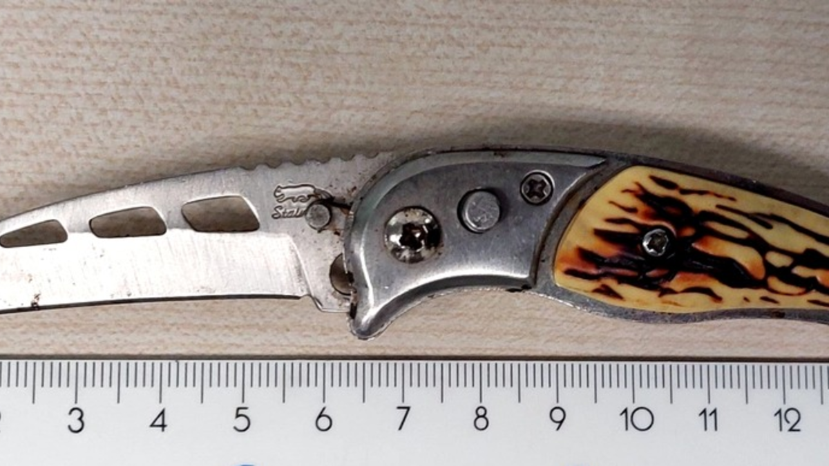 BPOL-HB: Aggressiver Dieb mit Messer bedroht Sicherheitsdienst am Hauptbahnhof Bremen - Bundespolizei greift zu. - Foto: presseportal.de