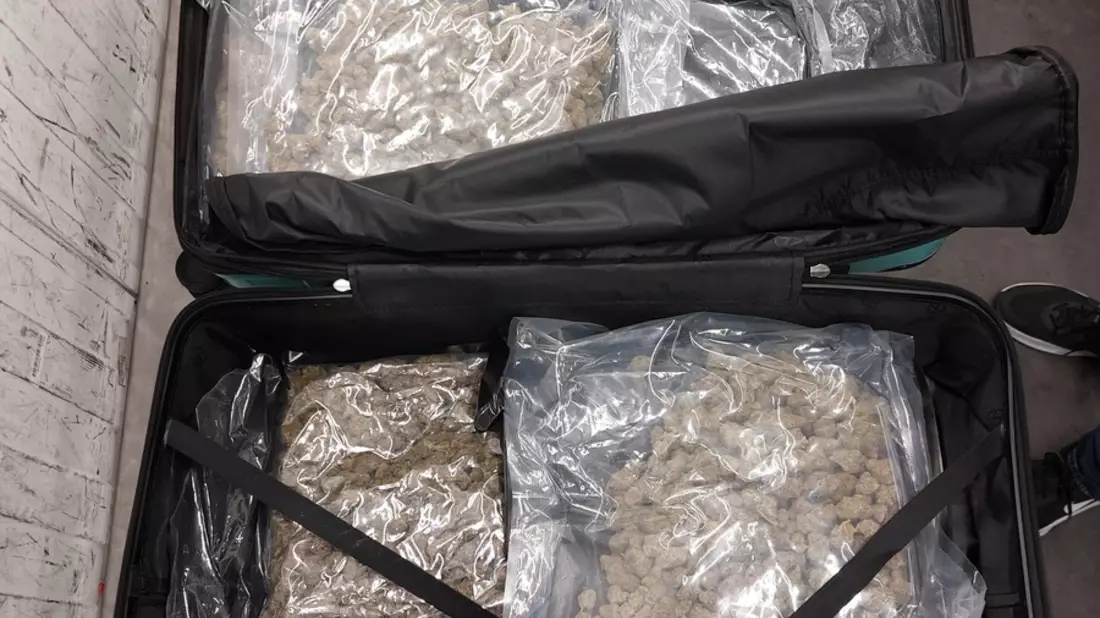 HZA-M: 70 Kilogramm Marihuana im Reisegepäck - Rauschgift bei Röntgenkontrolle entdeckt - Bild: presseportal.de