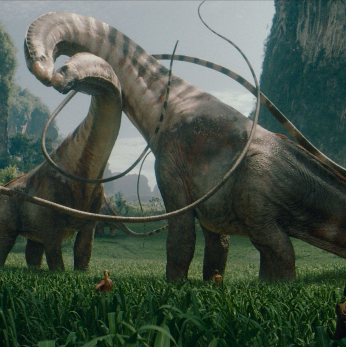 Scarlett Johansson sprach in Interviews von den tollen Locations in Thailand. - Foto: -/Universal Studios/dpa