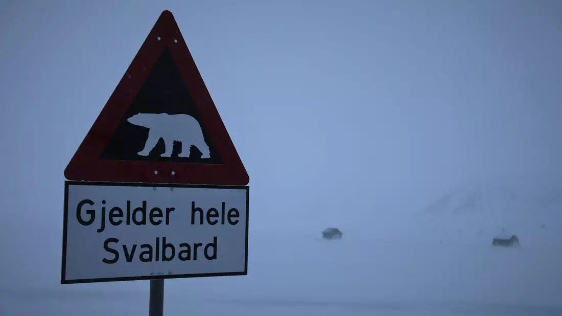 Ein Schild warnt auf Spitzbergen vor Eisbären. (Symbolbild) - Bild: Steffen Trumpf/dpa