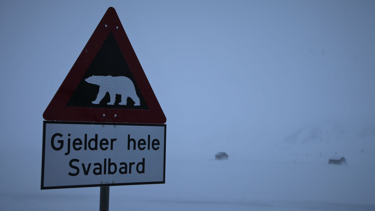 Ein Schild warnt auf Spitzbergen vor Eisbären. (Symbolbild) - Foto: Steffen Trumpf/dpa