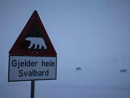 Ein Schild warnt auf Spitzbergen vor Eisbären. (Symbolbild) - Foto: Steffen Trumpf/dpa