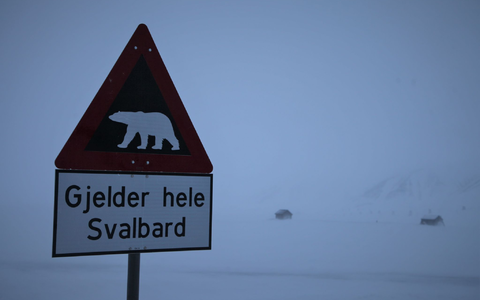 Ein Schild warnt auf Spitzbergen vor Eisbären. (Symbolbild) - Foto: Steffen Trumpf/dpa