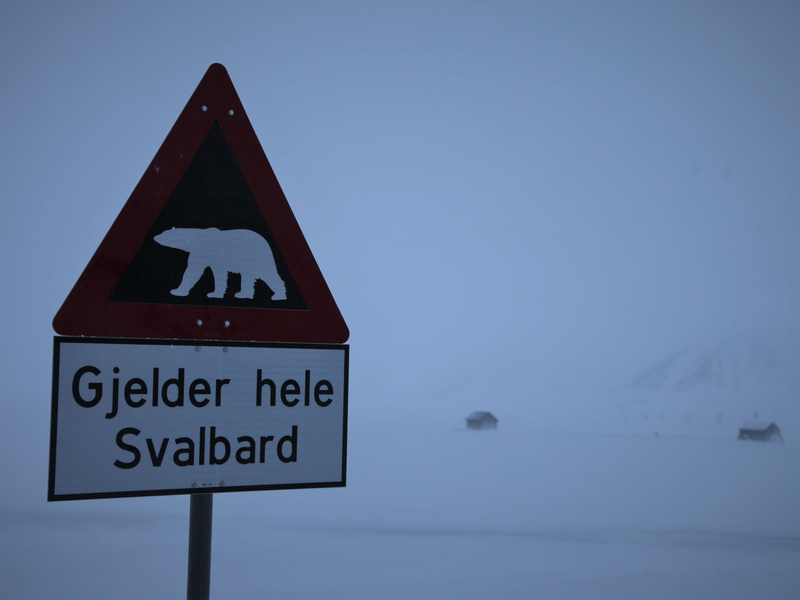 Ein Schild warnt auf Spitzbergen vor Eisbären. (Symbolbild) - Foto: Steffen Trumpf/dpa