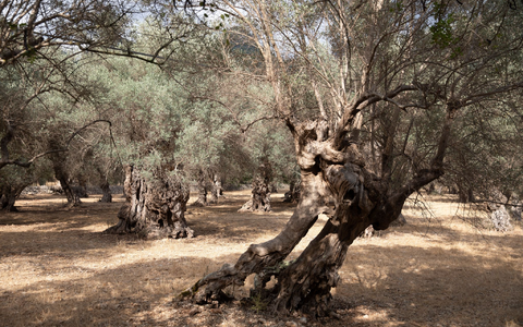 Es werden nicht nur kurzfristige, sondern vor allem langfristige Lösungen gefordert. - Foto: Clara Margais/dpa