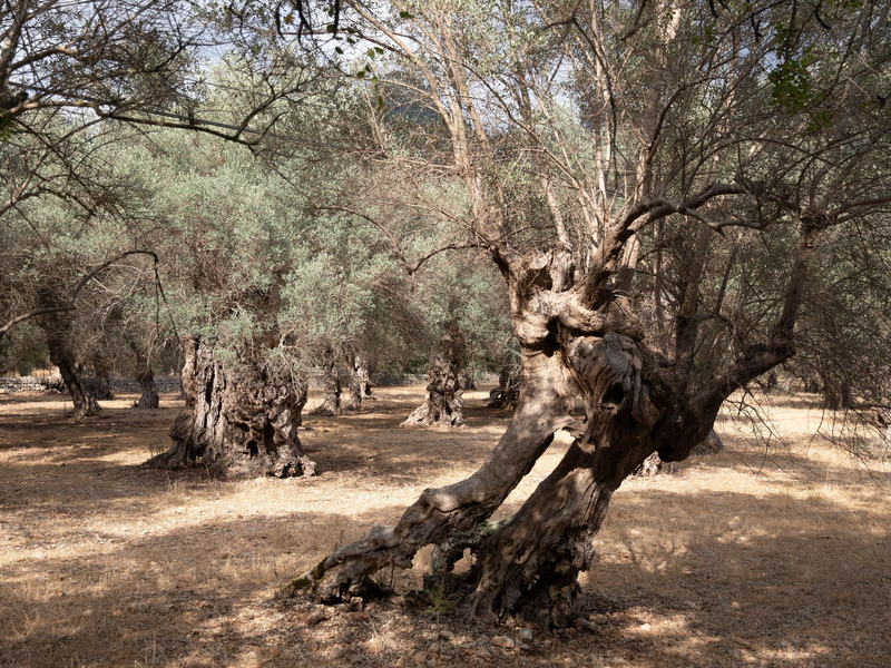 Es werden nicht nur kurzfristige, sondern vor allem langfristige Lösungen gefordert. - Foto: Clara Margais/dpa