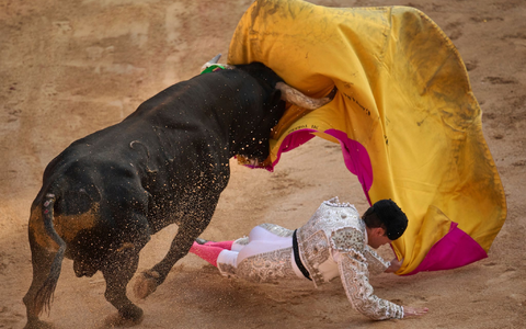 Die Tradition wird zunehmend infrage gestellt. (Archivbild) - Foto: Miguel Oses/AP/dpa