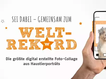 Haustierliebe sprengt alle Rekorde - Vet-Concept ruft zum großen Haustier-Fotoprojekt auf - Foto: presseportal.de