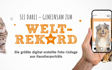 Haustierliebe sprengt alle Rekorde - Vet-Concept ruft zum großen Haustier-Fotoprojekt auf - Foto: presseportal.de