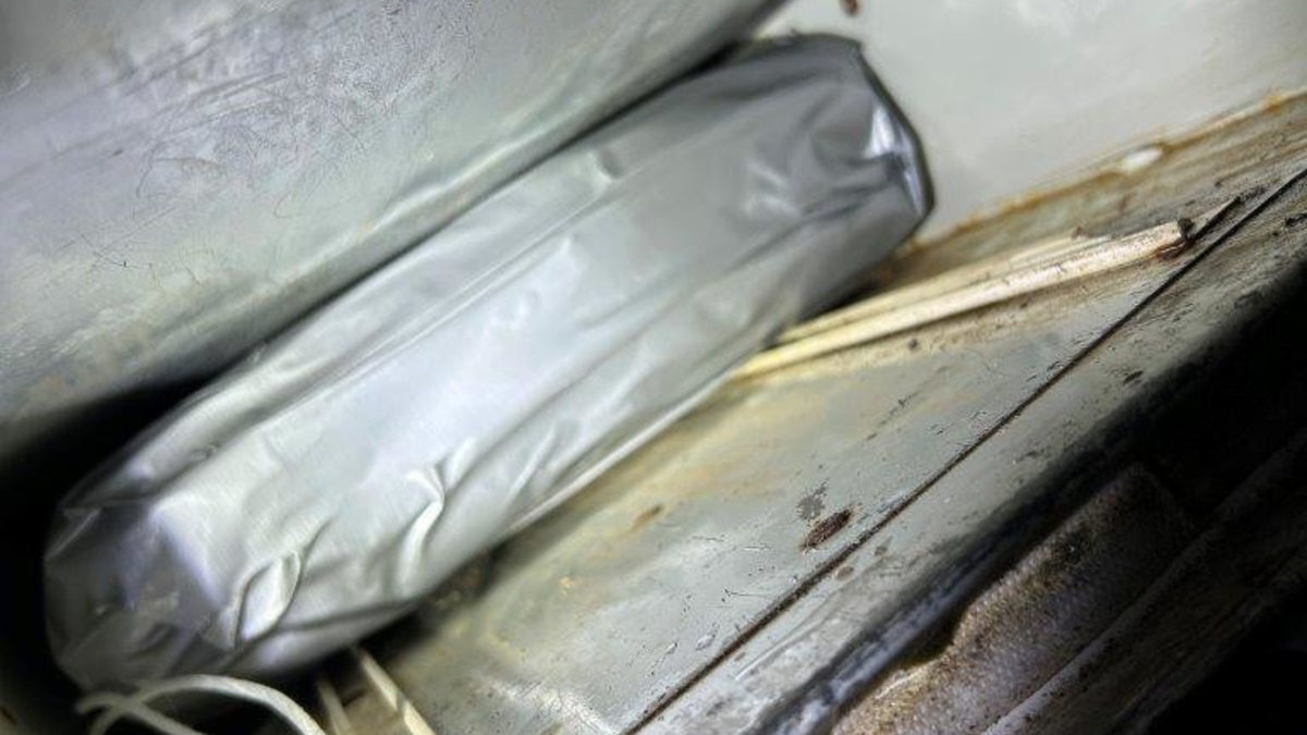 ZOLL-F: 432 Kilogramm Haschisch sichergestellt - Zollhündin entdeckt Rauschgift in großen Mengen - Foto: presseportal.de