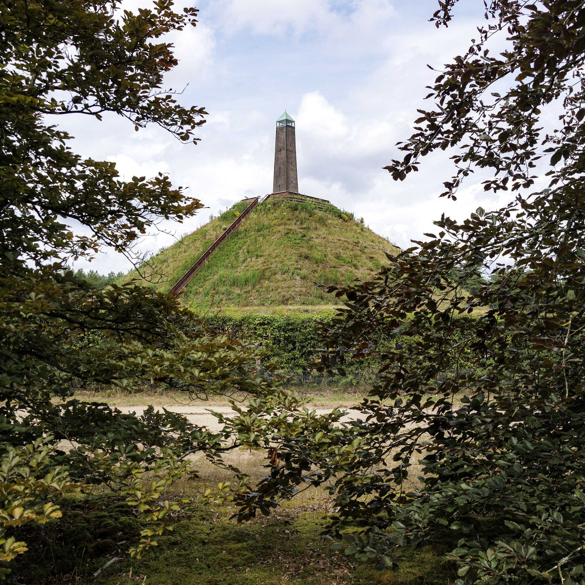 Zu dem Wolfsangriff auf einen Jungen in den Niederlanden kam es in der Nähe eines bekannten Wahrzeichens, der Pyramide von Austerlitz. - Foto: Ramon Van Flymen/ANP/dpa