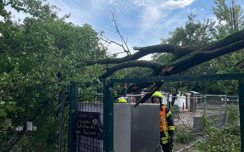 Feuerwehr MTK: Unwetterlage fordert Feuerwehren in Hattersheim am Main - 18 Einsatzstellen in rund vier Stunden - Foto: presseportal.de